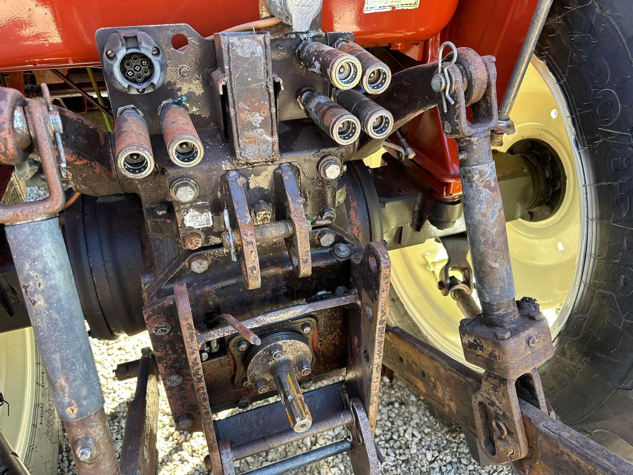 WhatsApp Image 2026-01-28 at 13.37.16