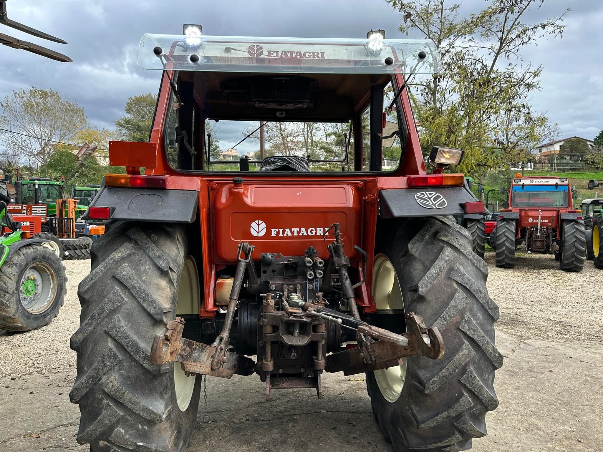 WhatsApp Image 2026-02-12 at 16.03.35