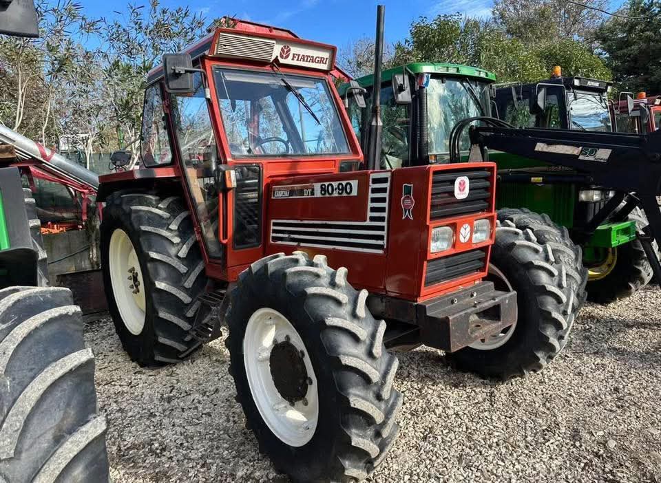 WhatsApp Image 2026-02-12 at 16.35.07